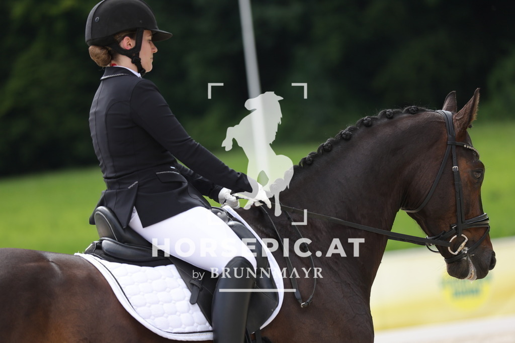 0P6A6106 | Willkommen bei Brunnmayr - Design & Fotografie – Ihrem Spezialisten für Reitturniere und Pferdeveranstaltungen in Oberösterreich, Salzburg und Bayern! Seit über 17 Jahren sind wir leidenschaftlich dabei.