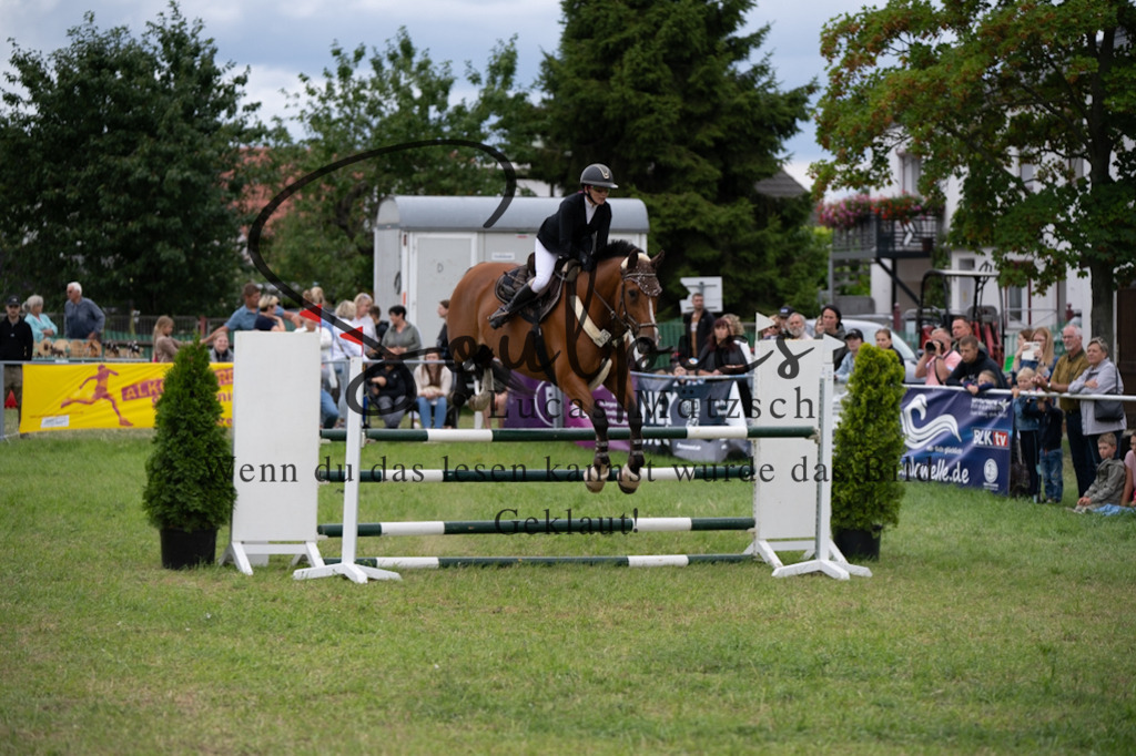 A7V06010 | Pferdefotograf