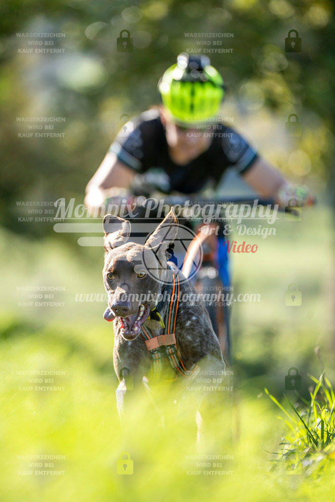 MompixPhotography_20TSB_E3_DS1-26 | PayLife