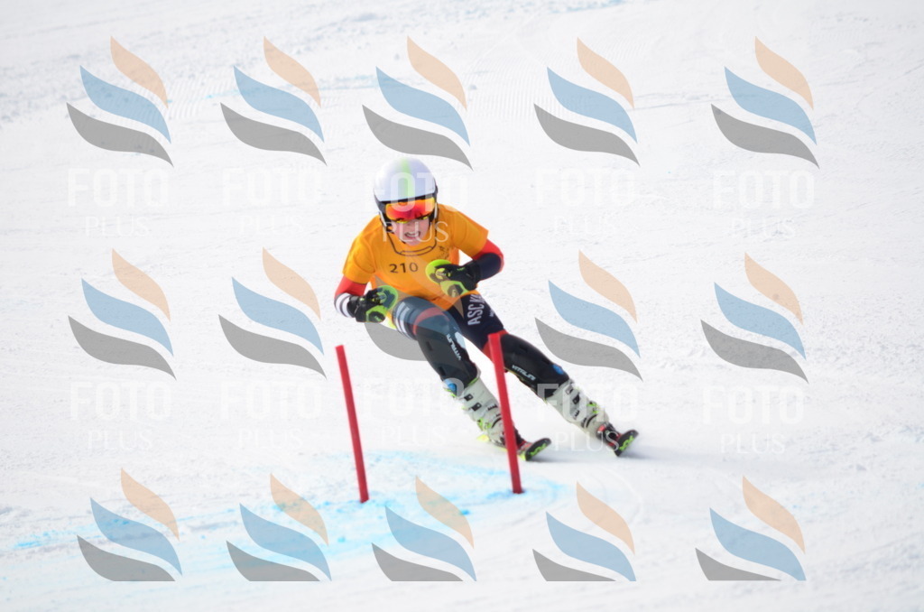 C8175 | holidayphoto