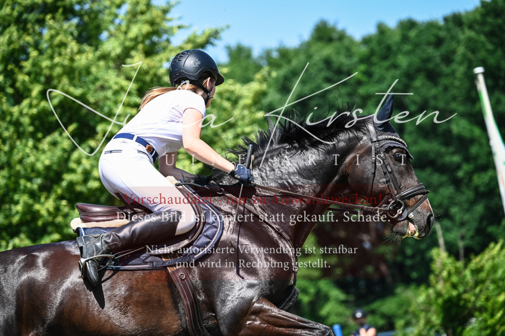 DSC_1015 | Pferde- und Turnierfotografie in Westsachsen. Pferdeportraits, Auftragszeichnungen und intuitive Kunst.