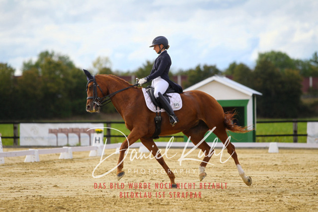 DKP44564 | Turniersportfotografie; Pferdefotografie; Dressurfotografie