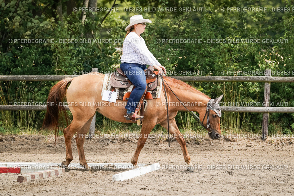 DSC07836 | Pferdegrafie