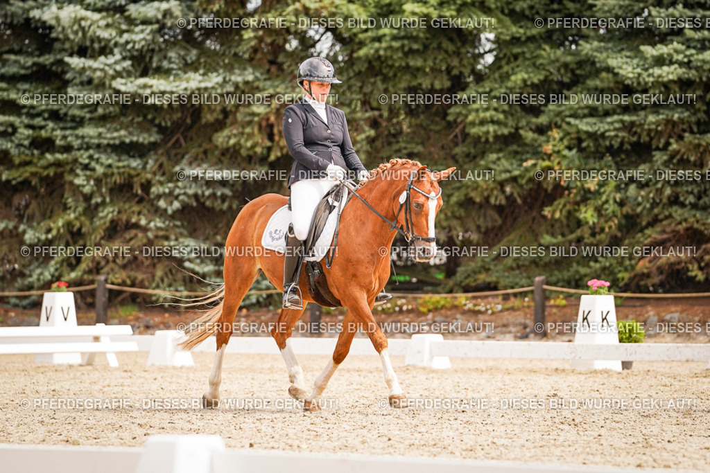 DSC02067 | Pferdegrafie