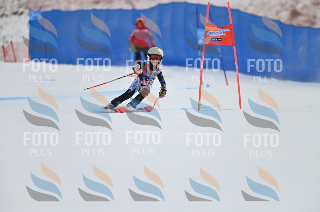 BGV_1700 | holidayphoto