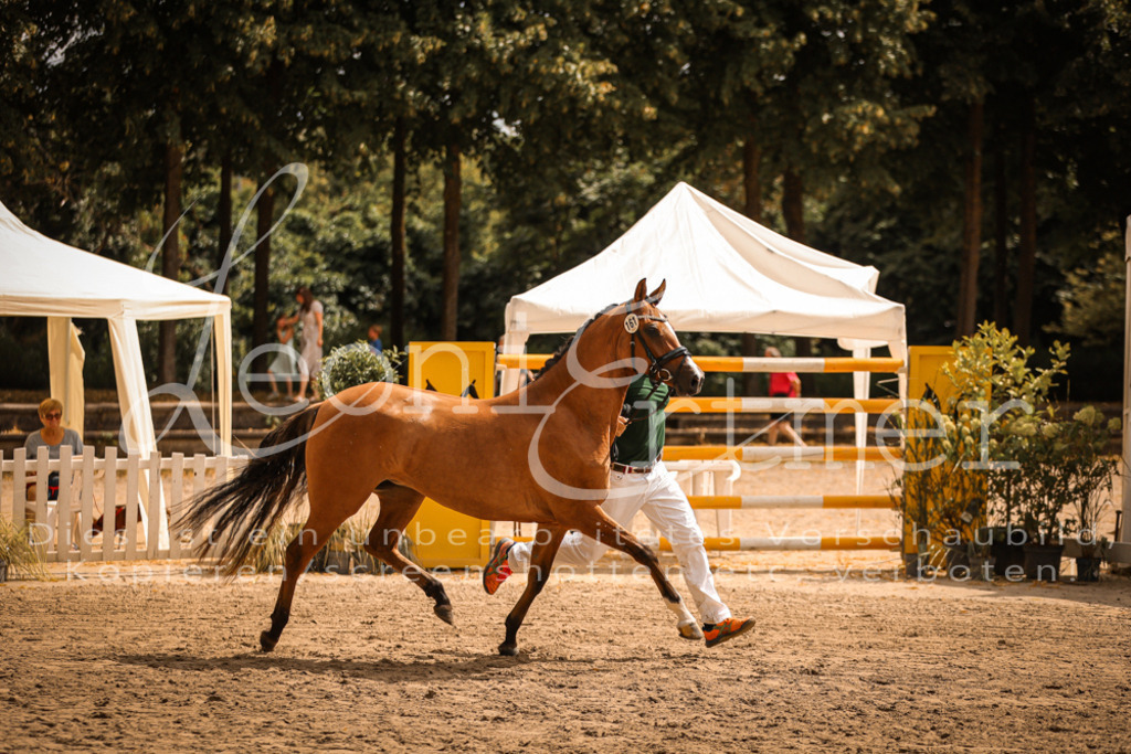 11.So00025 | Leoni Ertmer Photography - Realisiert mit Pictrs.com