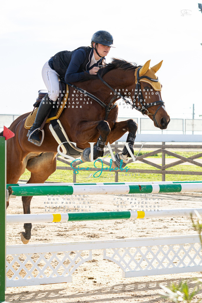 IMG_1591 | s-jay-photography - Realisiert mit Pictrs.com