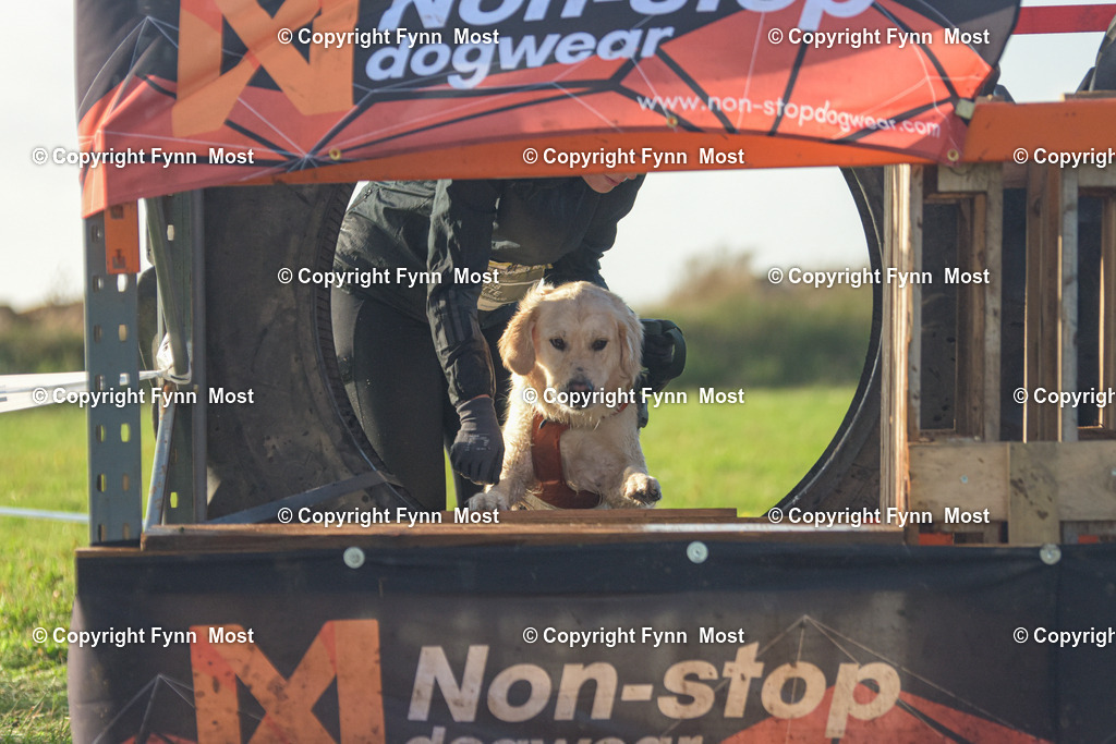 DSC_0827 | Hallo und herzlich Willkommen auf meiner Shop-Seite Fynn Most.

Ich wünsche Dir viel Spaß beim stöbern durch die Bilder, wenn Du Fragen hast oder Bilder vermisst, kannst du mir gerne eine Nachricht schreiben. - Realisiert mit Pictrs.com