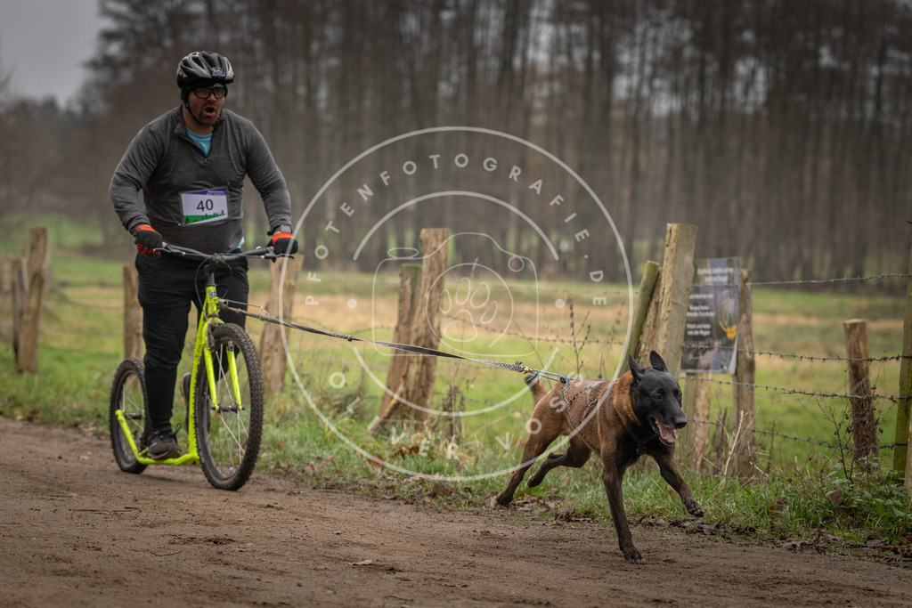 Pfotenfotografie_DV3A2582 | Hundefotografie, Tierfotograf, Pfotenfotografie, Fotoshooting Hund, Hunde Portrait, Hundesport, Hundeportraits, Heideshooting, Hunde, Sportfotograf, Hundefotograf, Turnierhundsport, THS,  - Realisiert mit Pictrs.com