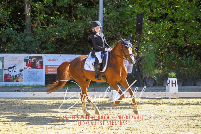 DKP41756 | Turniersportfotografie; Pferdefotografie; Dressurfotografie