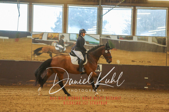 IMG_7948 | Turniersportfotografie; Pferdefotografie; Dressurfotografie