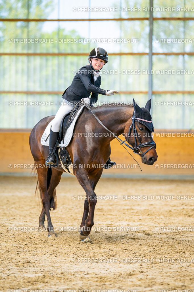 DSC07359 | Pferdegrafie