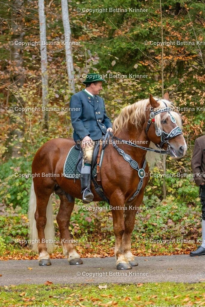 LL25-172 | foto-bettina-krinner - Realisiert mit Pictrs.com