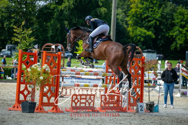 IMG_5828 | Turniersportfotografie; Pferdefotografie; Dressurfotografie
