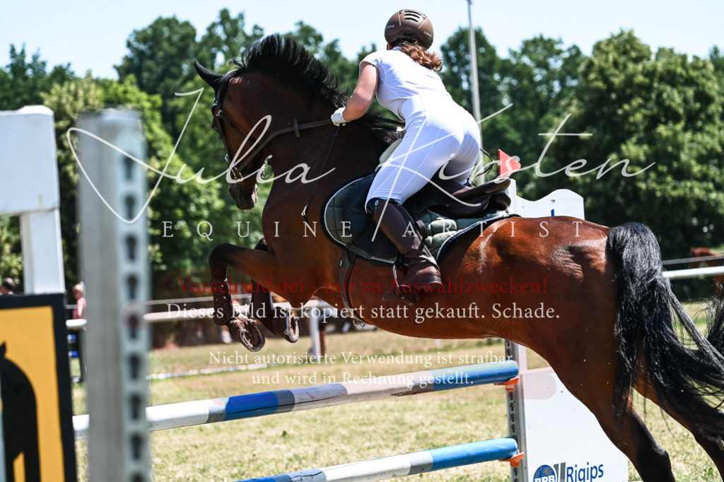 DSC_0406 | Pferde- und Turnierfotografie in Westsachsen. Pferdeportraits, Auftragszeichnungen und intuitive Kunst.