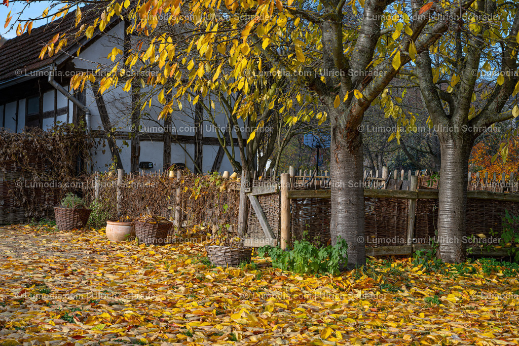 10049-13888 - Kloster Michaelstein bei Blankenburg | Stockfoto und Bilderpool mit Bildmaterial aus Deutschland, dem Harz, Halberstadt, Quedlinburg, Wernigerode und weltweit. Qualitativ hochwertige und professionelle Fotos anschauen und kaufen. - Realisiert mit Pictrs.com