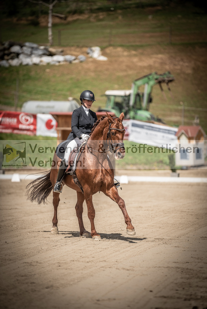 DSC_1549 | equestrian-live-com