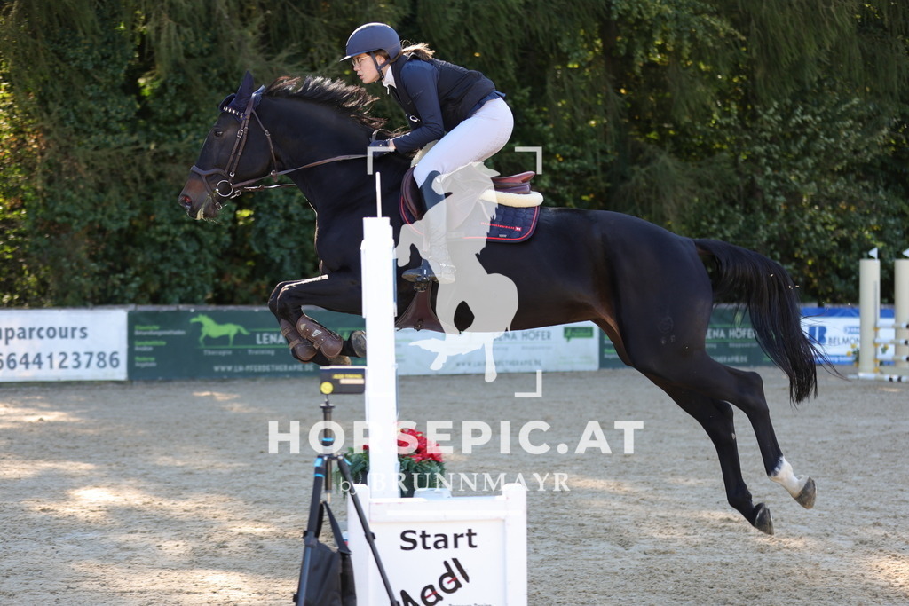 0P6A0518 | Willkommen bei Brunnmayr - Design & Fotografie – Ihrem Spezialisten für Reitturniere und Pferdeveranstaltungen in Oberösterreich, Salzburg und Bayern! Seit über 17 Jahren sind wir leidenschaftlich dabei.