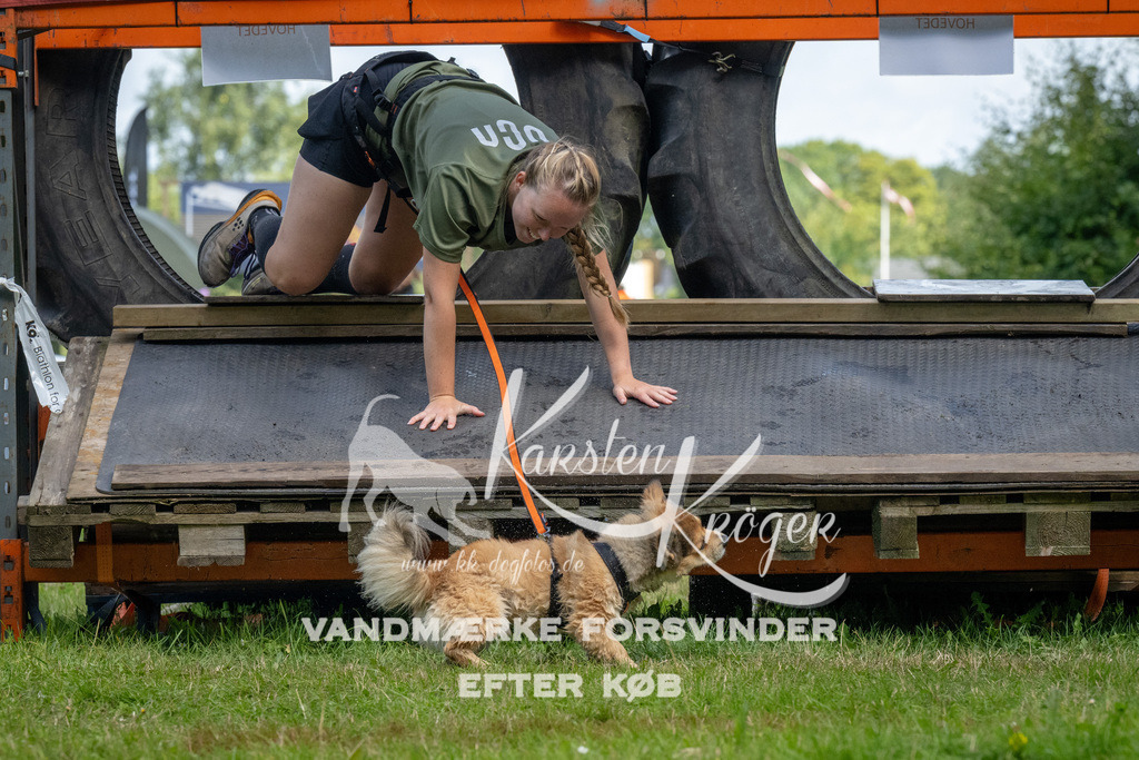 1130_ZZ92314 | kk-dogfotos
