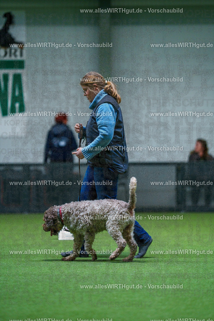 7R503051 | Professionelle Tierfotografie in Mönchengladbach von Daniel Wirth (allesWIRTHgut). Liebevolle & natürliche Bilder von Hunden & Katzen für unvergessliche Erinnerungen.