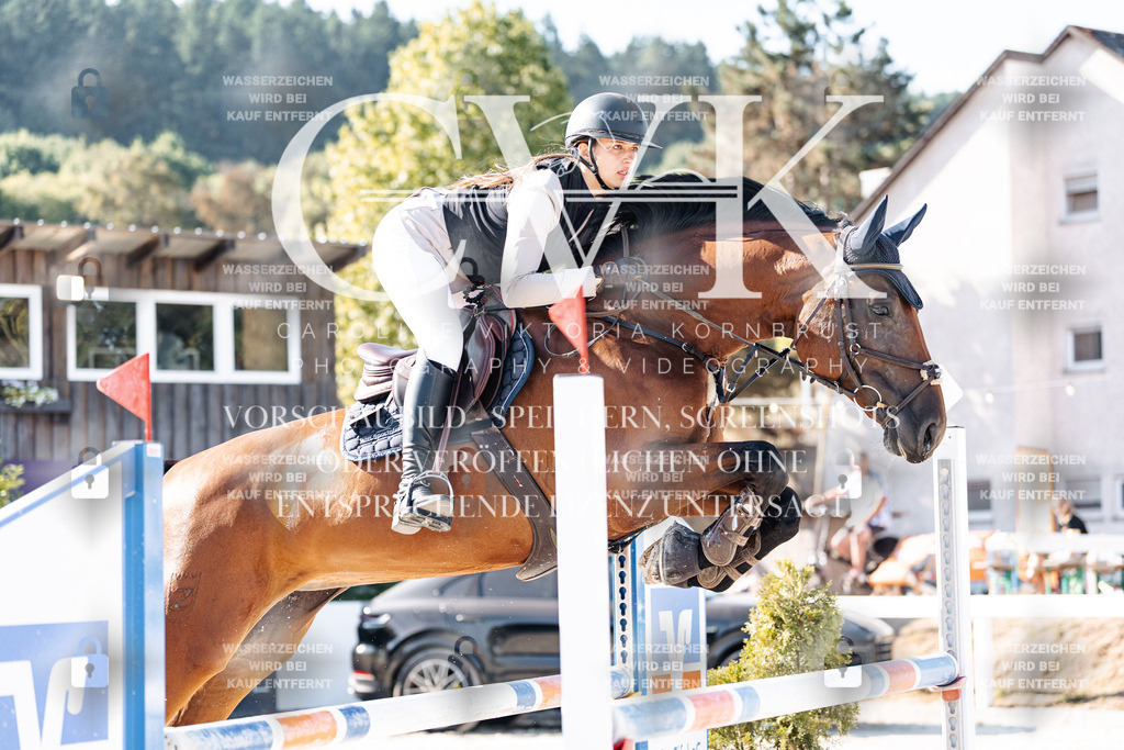 CK904549 | Turnierfotografie Pferdefotografie Trier Rheinland-Pfalz Pferdesport Reitsport Tierfotografie Sportfotografie Pferdevideo Pferdevideografie Equestrianvideography equestrianphotography  - Realisiert mit Pictrs.com