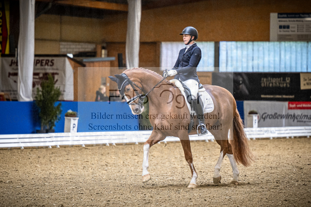 DOS_0500 | Entdecke hochwertige Reitturnierfotos von Foto Oger. Professionell, emotional und authentisch – jetzt Lieblingsmomente im Shop bestellen.Deutschlandweite Turnierfotografie. - Realisiert mit Pictrs.com