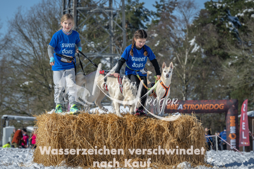 1144_ZZ90879-4 | kk-dogfotos