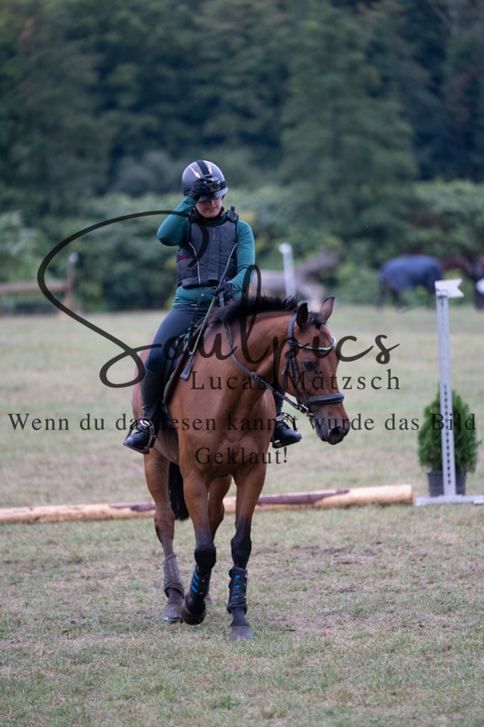 A7V00046 | Pferdefotograf