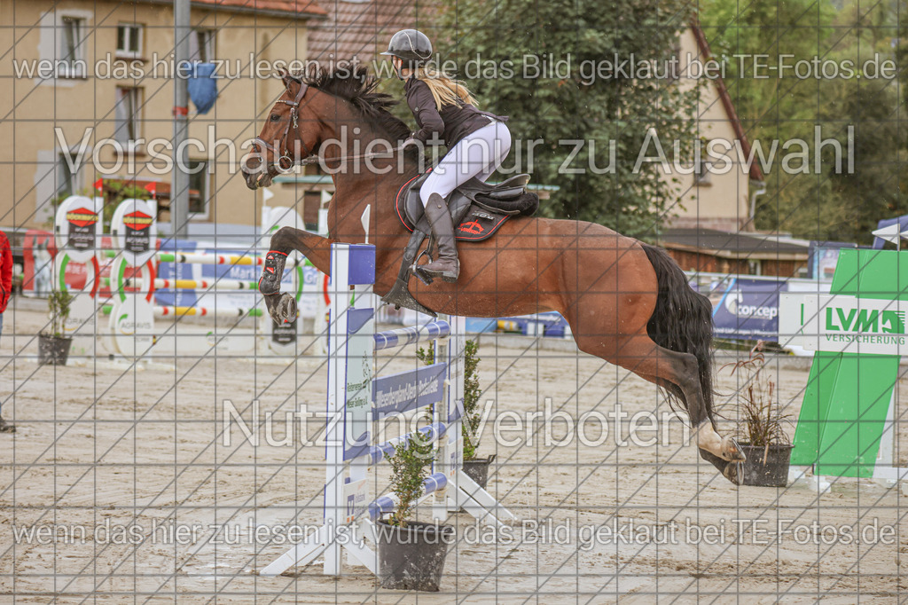 2025-09-22_11-33-14_MG_0298 | TE-Fotos