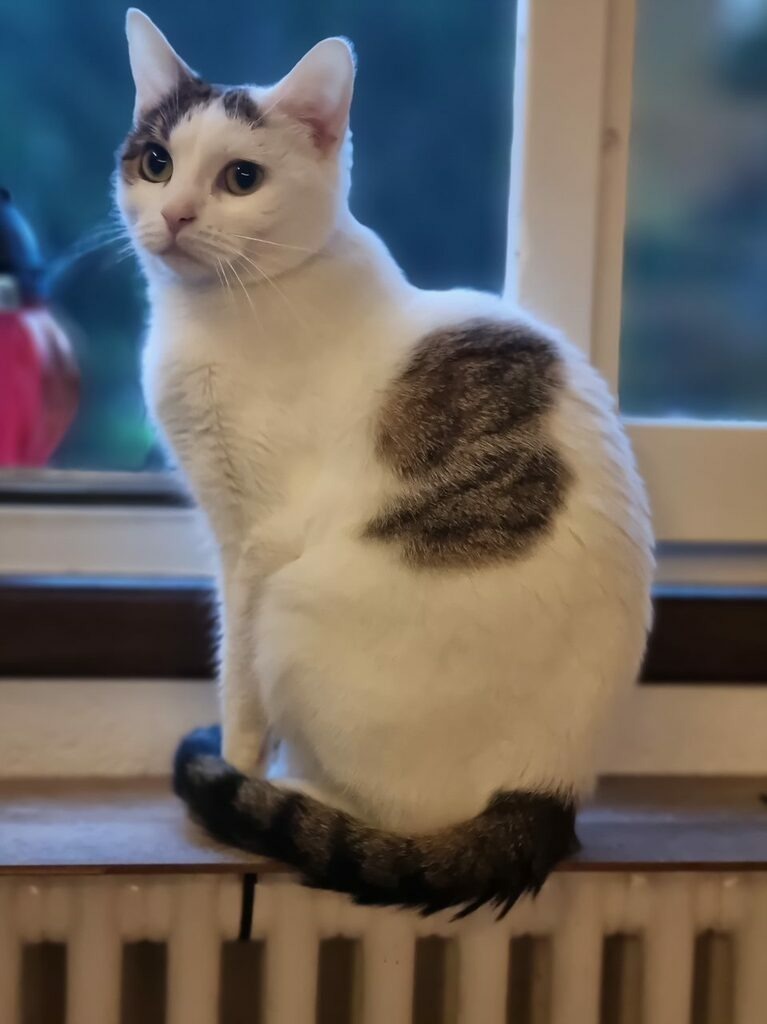 PSX_20220910_222144 | mtkfoto_ - Realisiert mit Pictrs.com