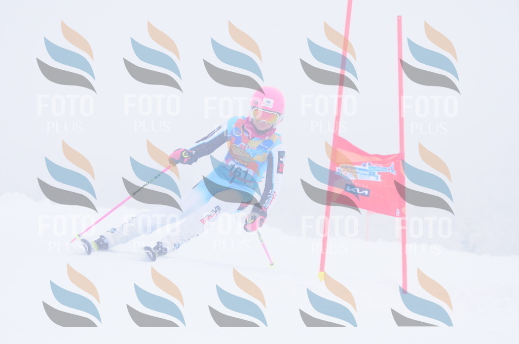 C1905 | holidayphoto