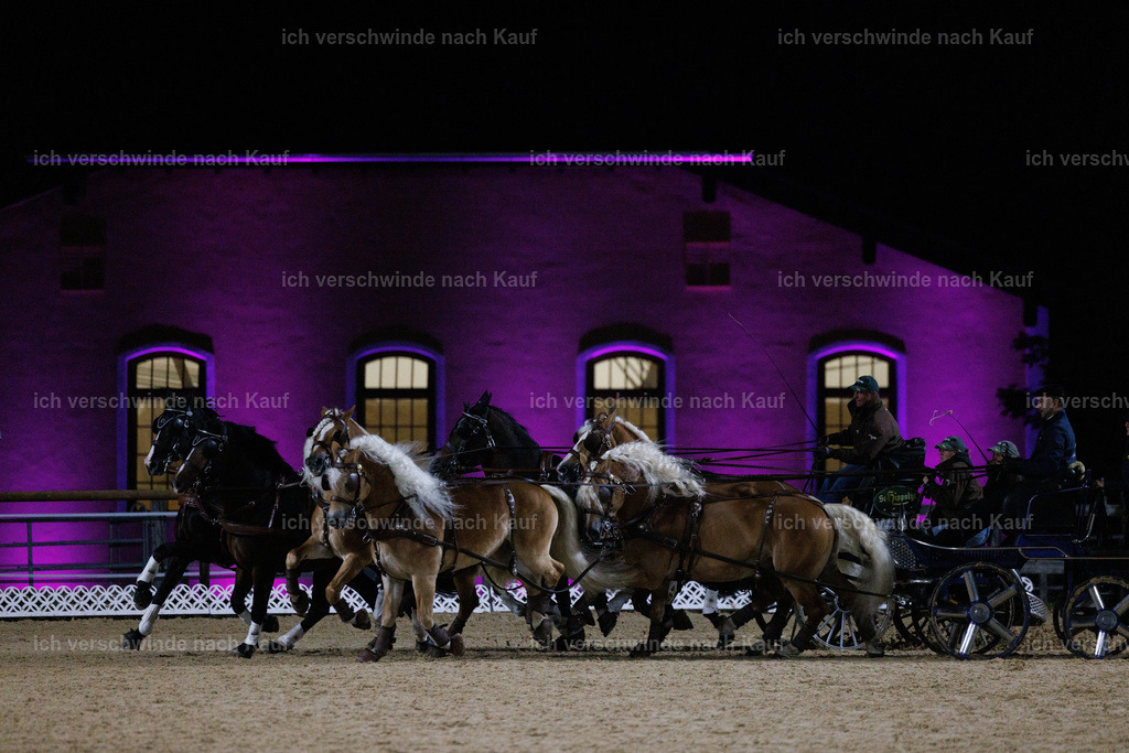 FHClassics-302 | working equitationturnier fotograf videograf stoibphotography marixx film working equitation deutschland reitsport turnierfotografie eventfotografie equestrian events