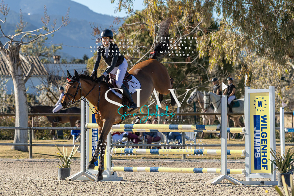 IMG_1800 | s-jay-photography - Realisiert mit Pictrs.com