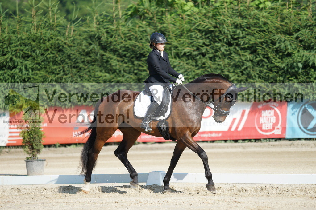 DSC01296 | equestrian-live-com