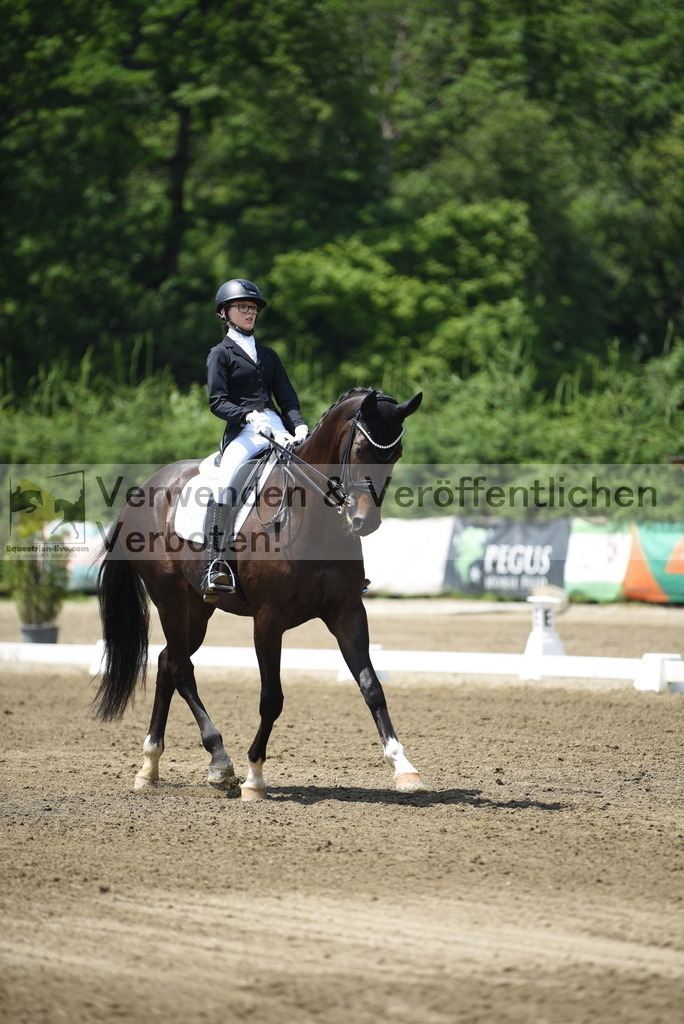 DSC_9775 | equestrian-live-com