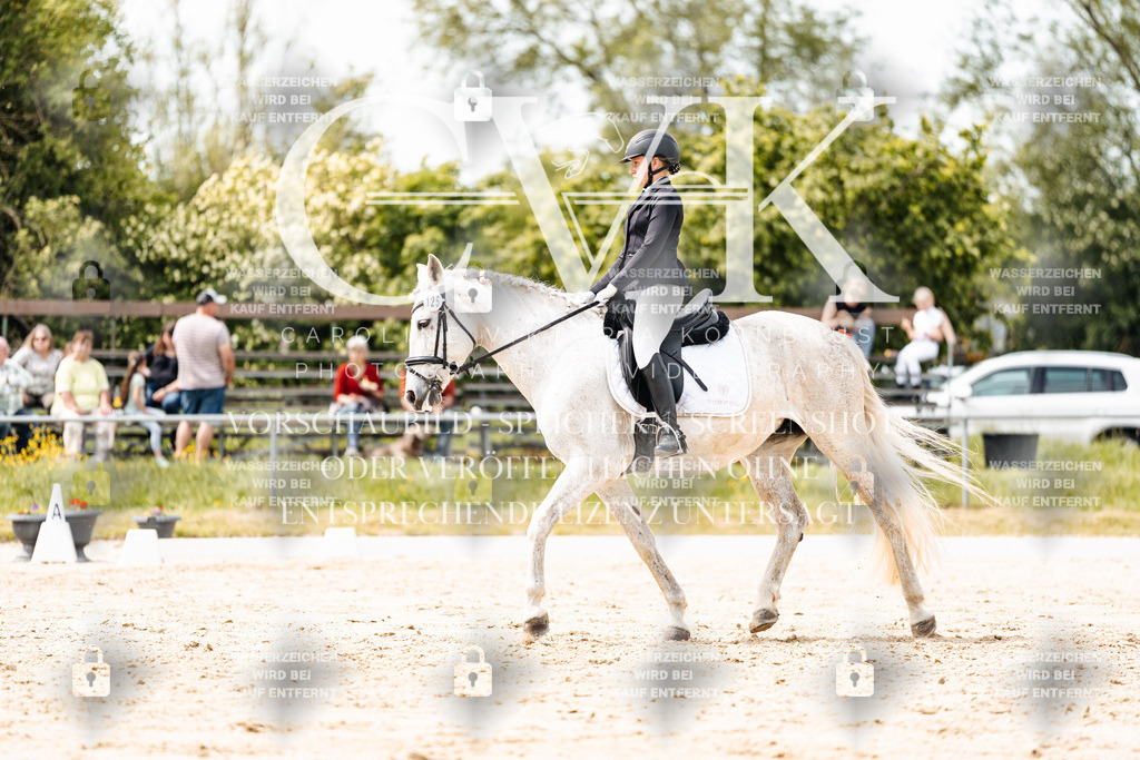 CK902469 | Turnierfotografie Pferdefotografie Trier Rheinland-Pfalz Pferdesport Reitsport Tierfotografie Sportfotografie Pferdevideo Pferdevideografie Equestrianvideography equestrianphotography  - Realisiert mit Pictrs.com