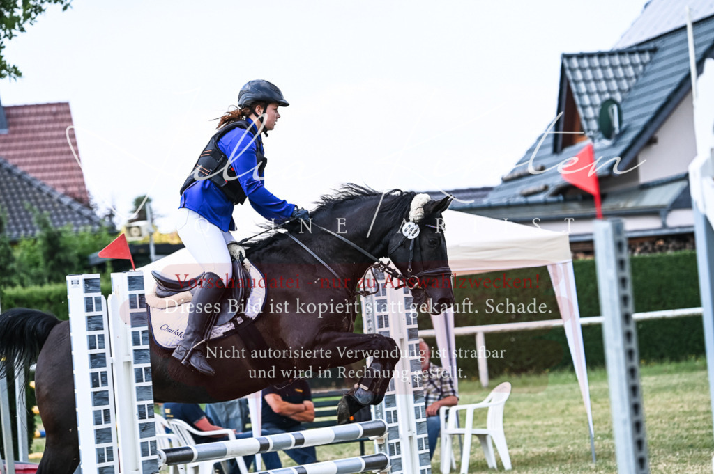 DSC_8979 | Pferde- und Turnierfotografie in Westsachsen. Pferdeportraits, Auftragszeichnungen und intuitive Kunst.
