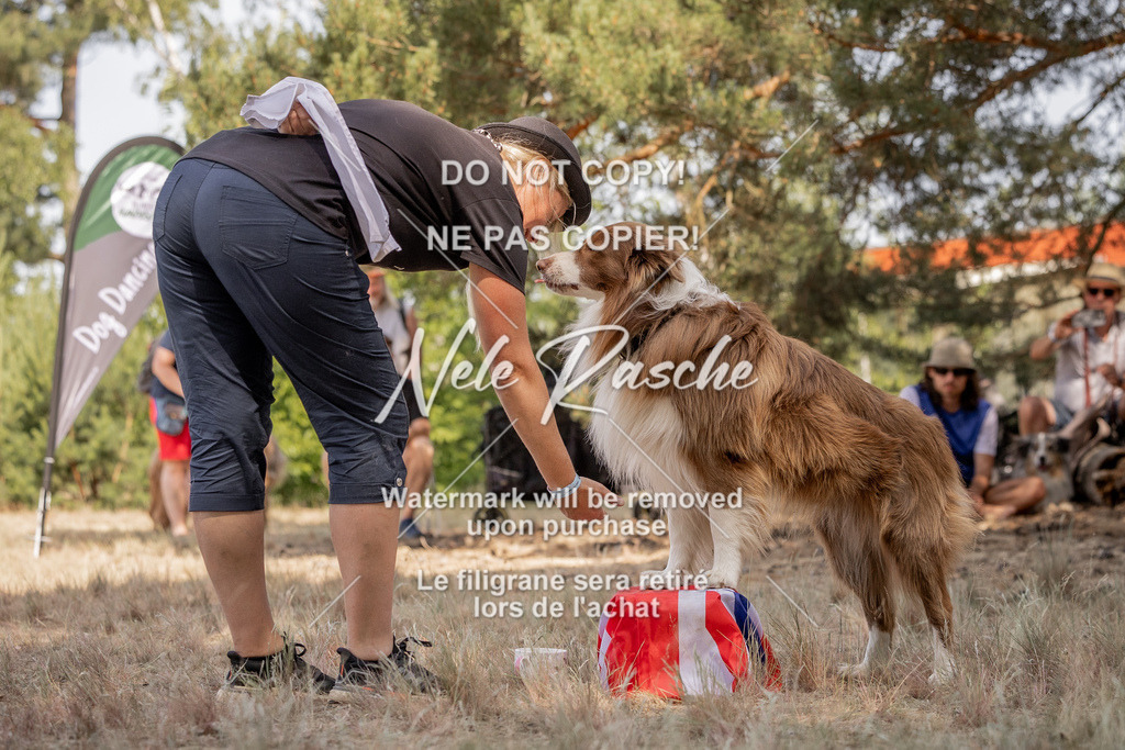 nelerasche_soDD2_131 | nelerasche