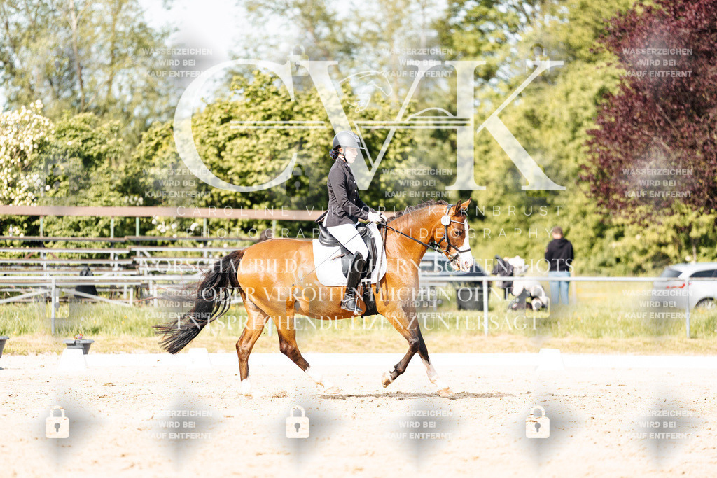 CK900526 | Turnierfotografie Pferdefotografie Trier Rheinland-Pfalz Pferdesport Reitsport Tierfotografie Sportfotografie Pferdevideo Pferdevideografie Equestrianvideography equestrianphotography  - Realisiert mit Pictrs.com