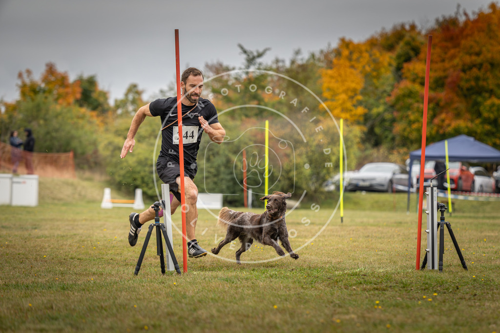 Pfotenfotografie_DV3A5578 | Hundefotografie, Tierfotograf, Pfotenfotografie, Fotoshooting Hund, Hunde Portrait, Hundesport, Hundeportraits, Heideshooting, Hunde, Sportfotograf, Hundefotograf, Turnierhundsport, THS,  - Realisiert mit Pictrs.com
