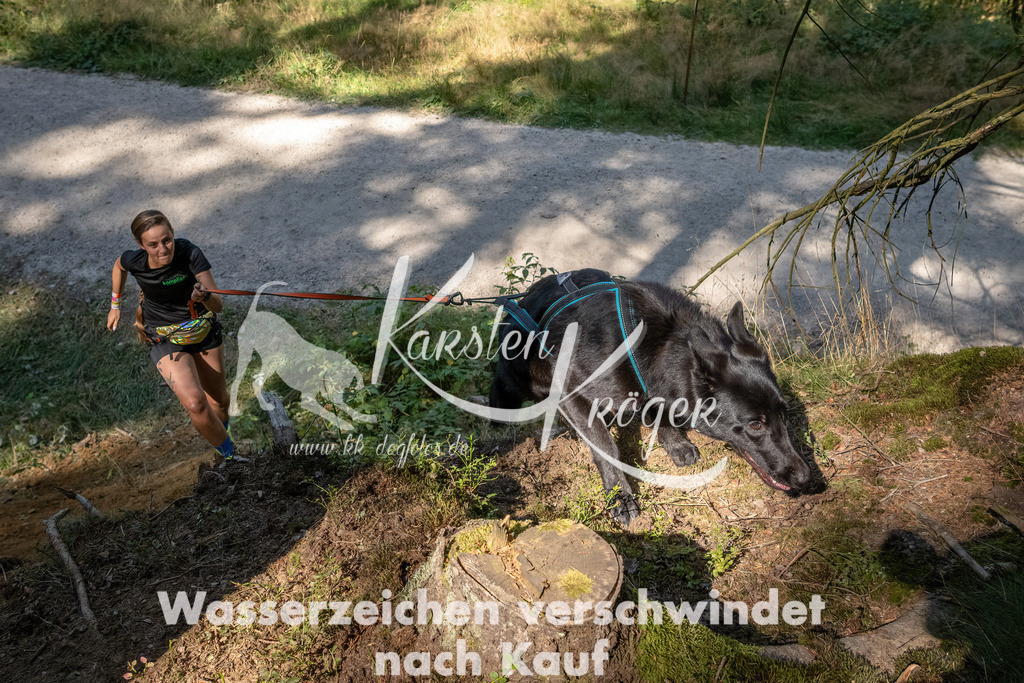 1241_ZZ94834 | kk-dogfotos