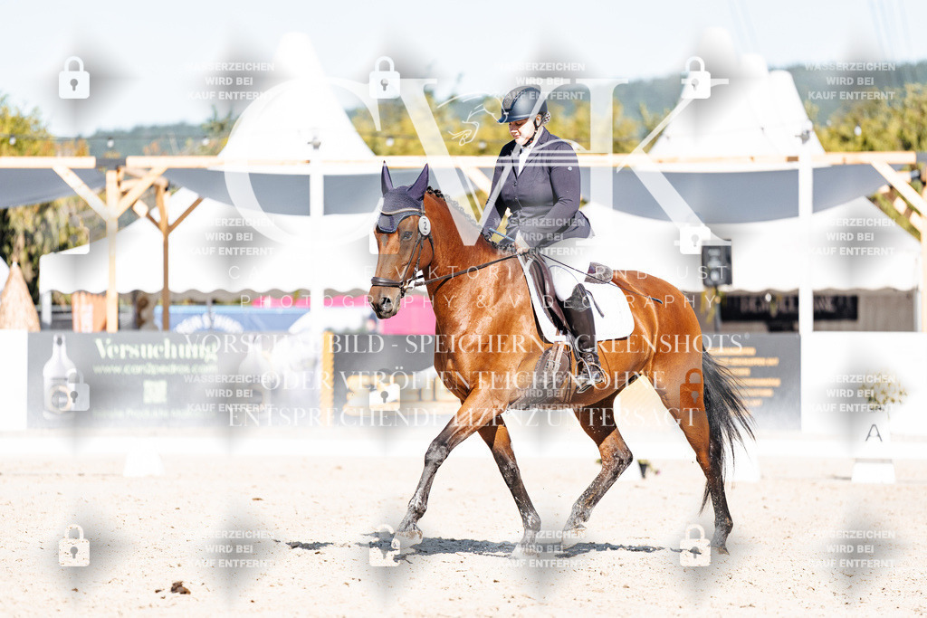 CK907964 | Turnierfotografie Pferdefotografie Trier Rheinland-Pfalz Pferdesport Reitsport Tierfotografie Sportfotografie Pferdevideo Pferdevideografie Equestrianvideography equestrianphotography  - Realisiert mit Pictrs.com