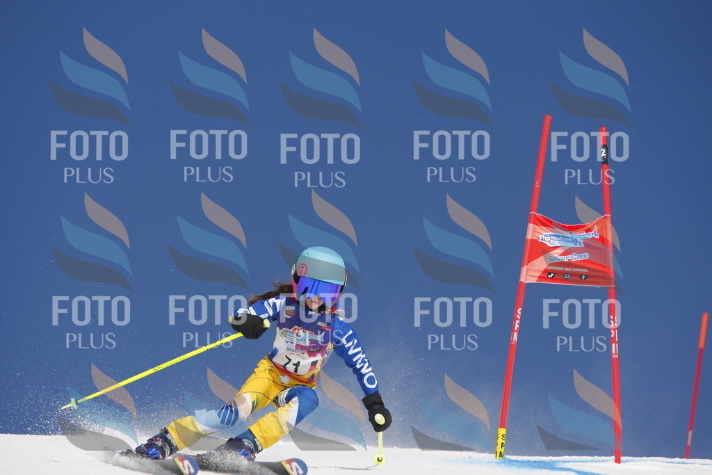 _W1G1043 | holidayphoto