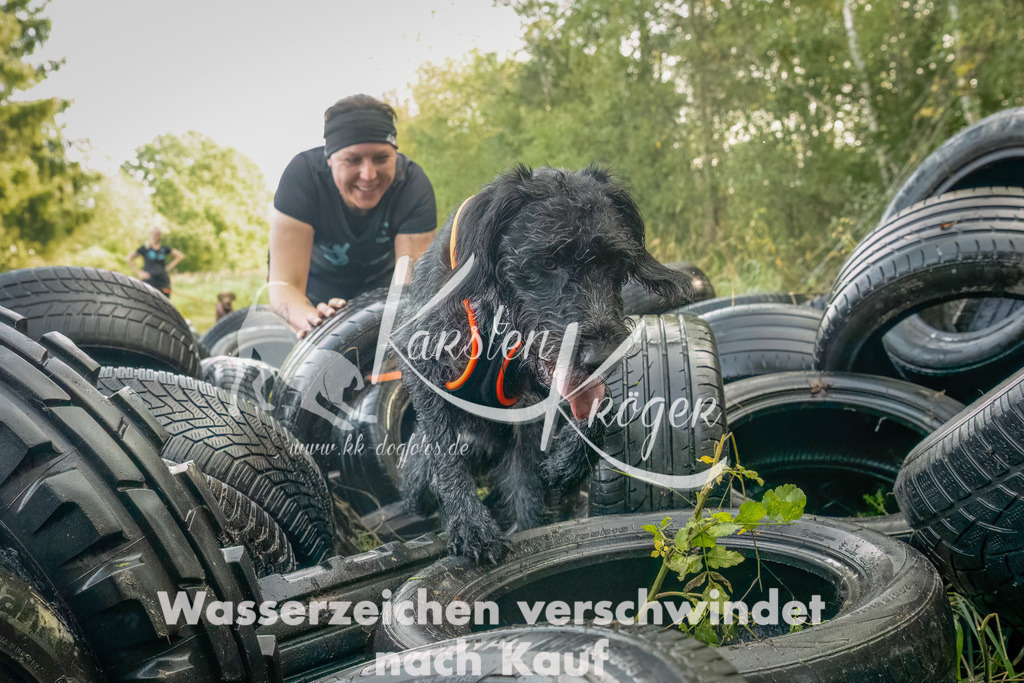 1056_ZZ90831-Bearbeitet | kk-dogfotos
