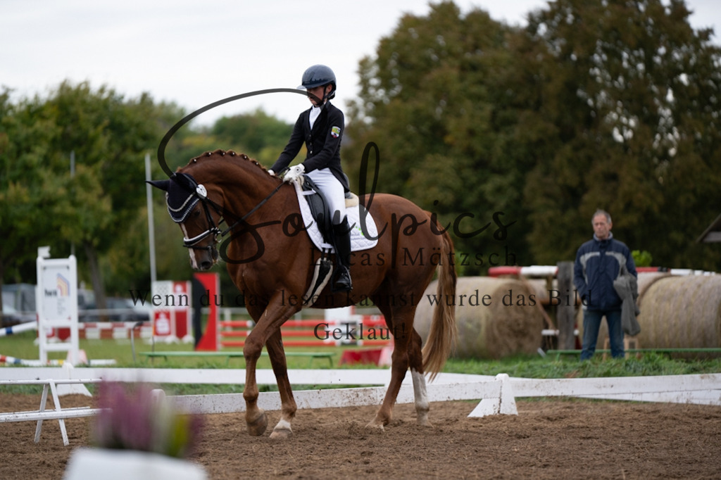 A7V06035 | Pferdefotograf