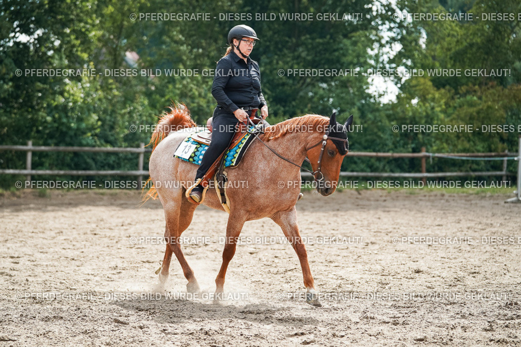 DSC04362 | Pferdegrafie