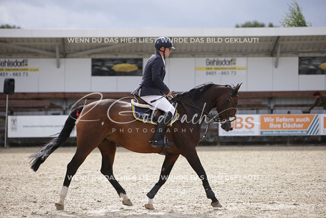 1J2A0822Christian Riedinger_ Lyra 87_ Kn679_ Havekost | Foto- und Videografie für alles rund ums Pferd. Hochwertige Bilder und Videos vom Spring- und Dressurreiten, Voltigieren & mehr. Jetzt aktuelle Veranstaltungen und Preise im Shop ansehen. - Realisiert mit Pictrs.com