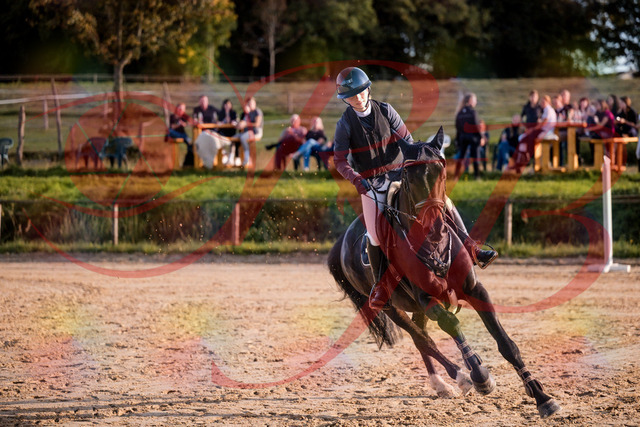 2026_10_03_Siefer-Hof_171605_Z81_14359058 | Professionelle Reitsport-, Turnier- und Eventfotografie von Robert Broda. Galerien mit ausgewählten und bearbeiteten Bildern direkt online ansehen und bestellen.