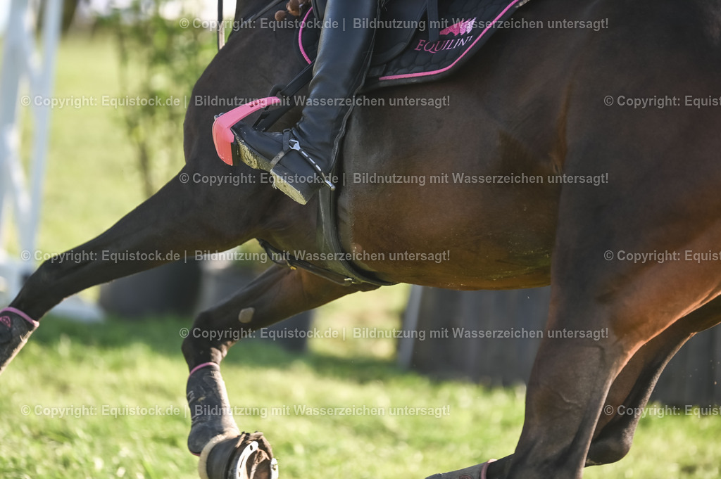 20230909_20_Leonberger-Derby_0034 | Foto: Thomas Hartig