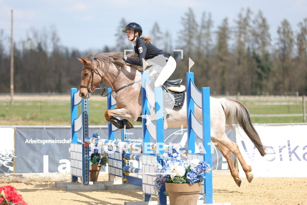 0P6A7751 | Willkommen bei Brunnmayr - Design & Fotografie – Ihrem Spezialisten für Reitturniere und Pferdeveranstaltungen in Oberösterreich, Salzburg und Bayern! Seit über 17 Jahren sind wir leidenschaftlich dabei.